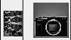 Leica Lenses On Fujifilm Gfx Bodies Sample Shots