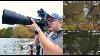Nikon Z9 Firmware 4 10 Bird Autofocus First Opinions