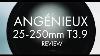 The Angenieux 25 250mm T3 9 Lens Review